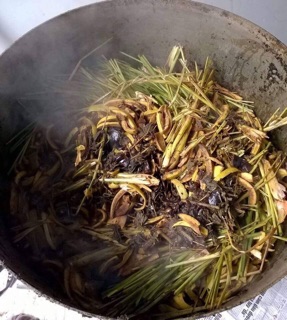Dầu Gội Thảo Dược Trị Gàu, Nấm, Rụng Tóc