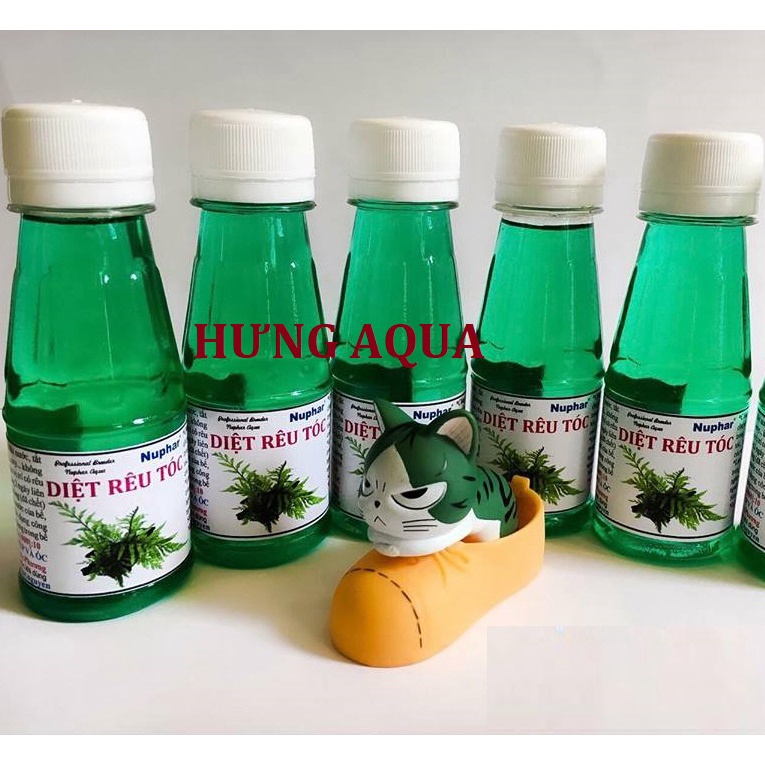 Diệt rêu bể cá, diệt rêu tóc, rêu hại cho hồ cá, hồ thủy sinh