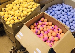 100 quả Trứng Hatchimals