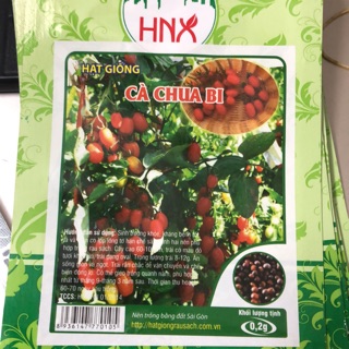 Hạt giống Cà chua bi 🍅