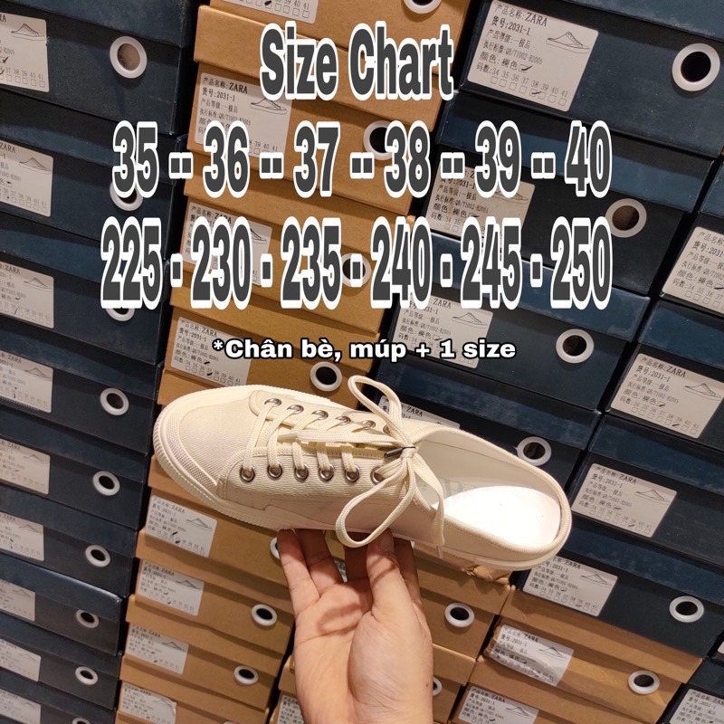 Giày đạp gót , giày sục ZR upper vải tweet