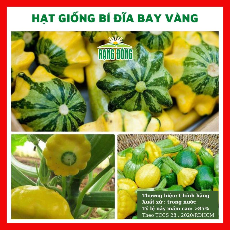 Hạt giống bí đĩa bay vàng ngon ngọt - rau củ quả chịu nhiệt 4 mùa ngon nảy mầm cao 1g RADO 168