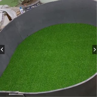 Thảm cỏ lót sới gà chọi cao 2 cm kích thước 2mx3m