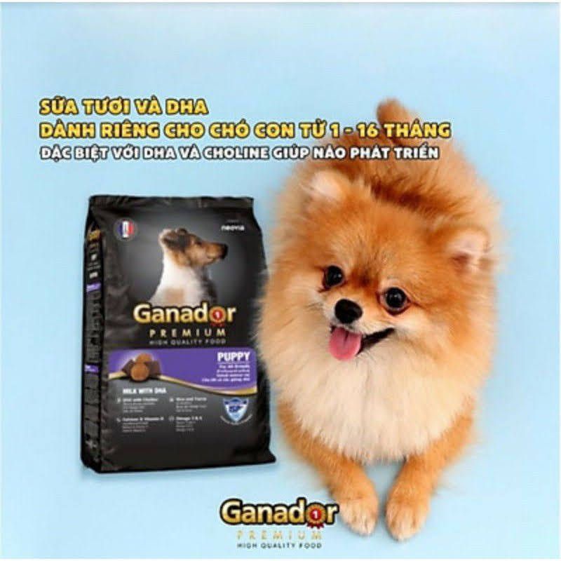 Thức ăn Hạt Khô cho chó con GANADOR puppy  vị sữa, DHA gói 400g