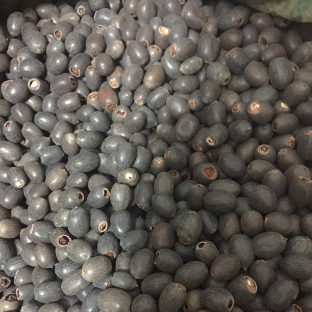 1 kg hạt sen mini nhật