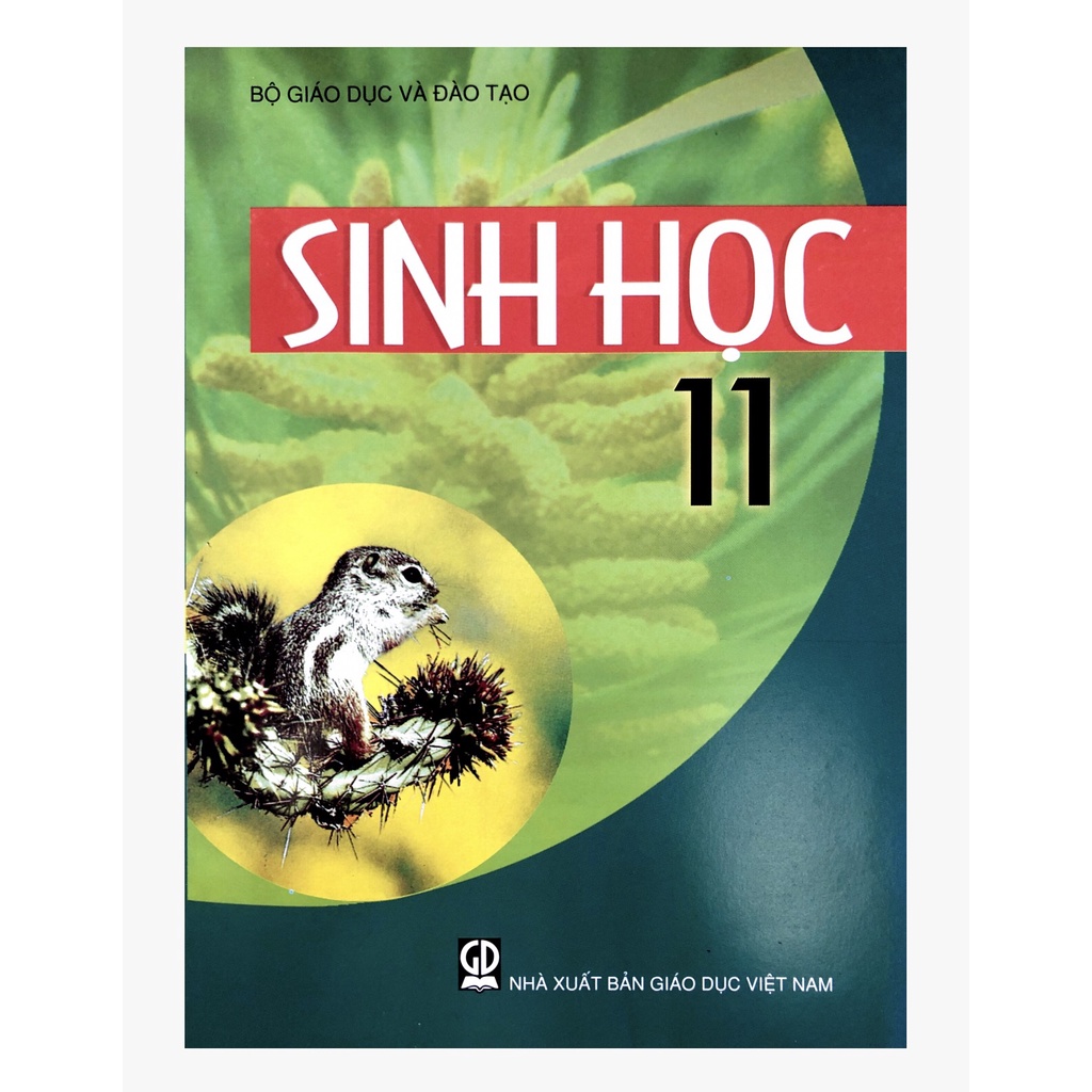 Sách giáo khoa Sinh học 11 (bán kèm 1 bút bi)