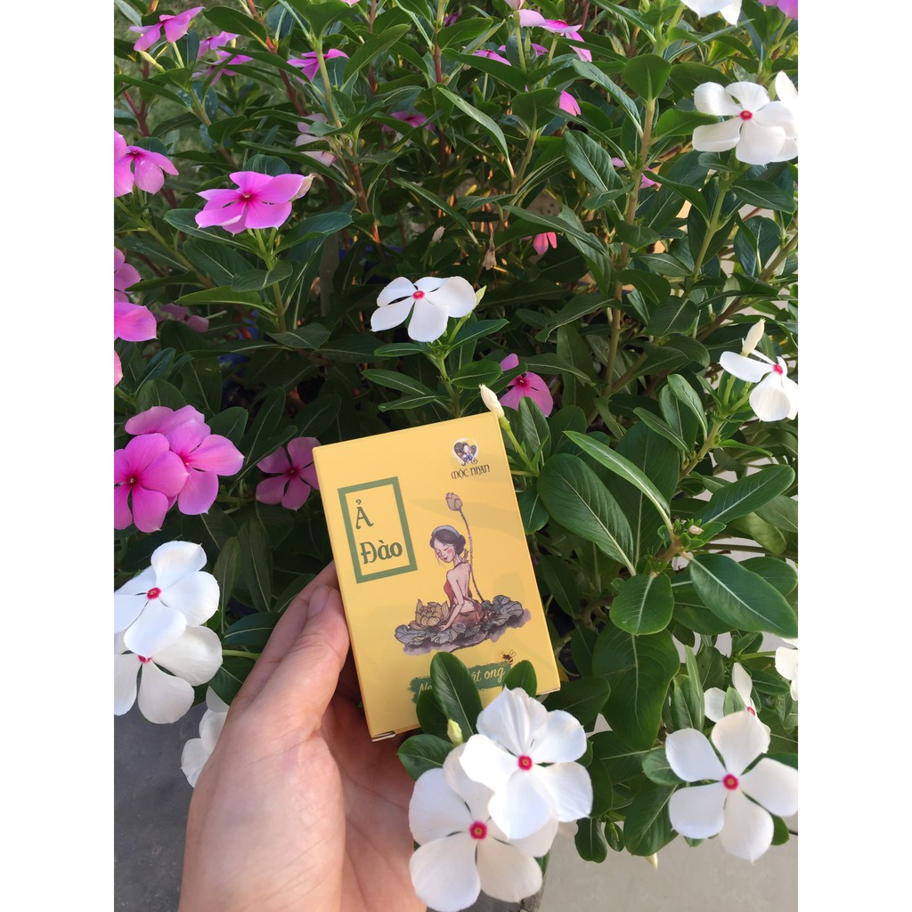 XÀ BÔNG HANDMADE | NGHỆ Ả ĐÀO NGHỆ MẬT ONG MỘC NHAN | BigBuy360 - bigbuy360.vn