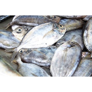 Cá liệt sứa làm sạch (~10c/kg) ~0.5kg
