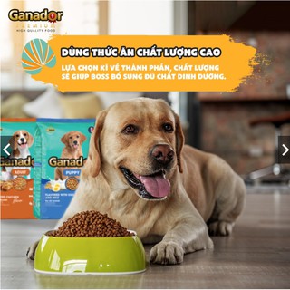 Thức ăn cho chó trưởng thành Ganador vị gà nướng Adult Roasted Chicken Flavor 400gram/gói