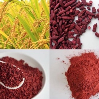 Bột gạo men đỏ bột hồng cúc 50g - 100g (N1607)