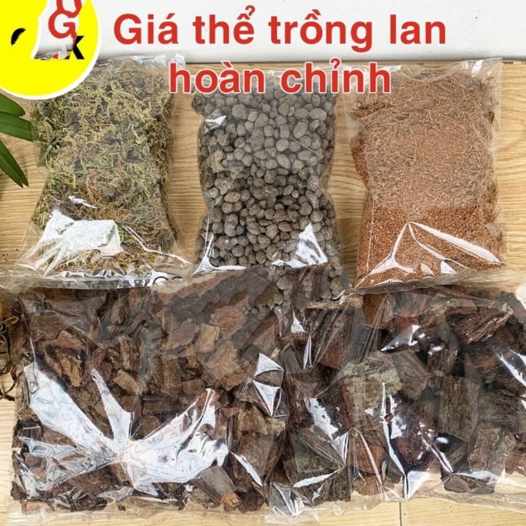 Giá thể trồng 5 chậu lan cho người mới tập chơi