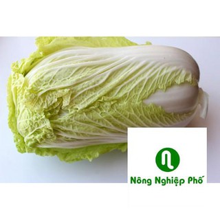 gói 200 hạt giống rau cải thảo PHUNONG