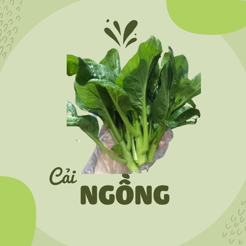 [Hạt giống Mỹ] - Cải ngồng Improved
