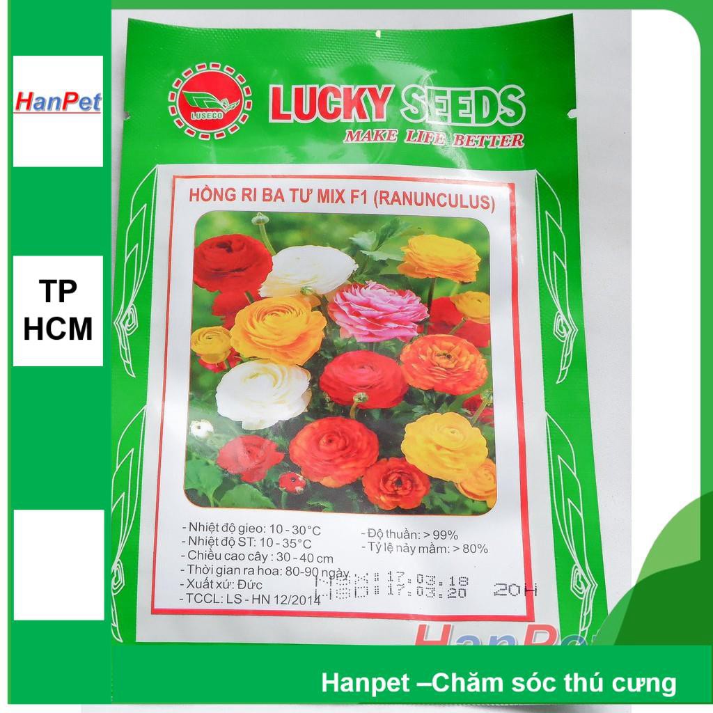HCM-(HOA TRONG NHÀ) gói 20 hạt - Hạt giống Hoa hồng ri Ba Tư (loại hoa to nhiều màu)