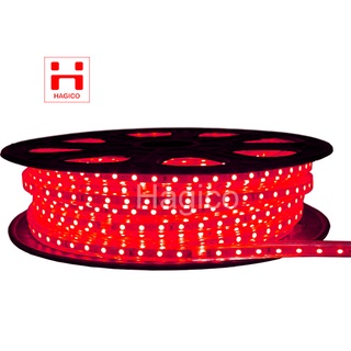 Led dây 5050 Đèn LED dây 5050 đơn sắc Trắng; Vàng; Xanh dương; Xanh lá; Đỏ; Nhiều màu