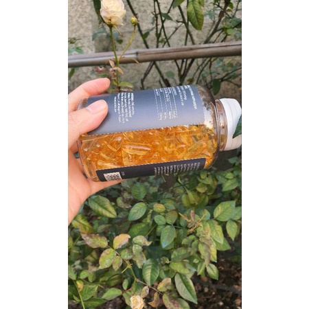 Viên Omega 369 MyVitamins có bill Pháp
