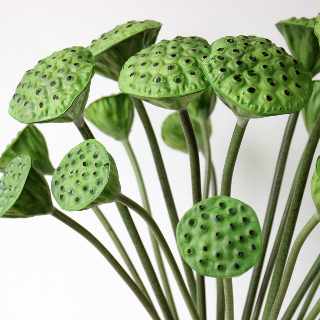 1 Nhánh Hoa Sen Nhân Tạo Chất Liệu Giả Da Chống Rơi Dùng Trang Trí Bàn