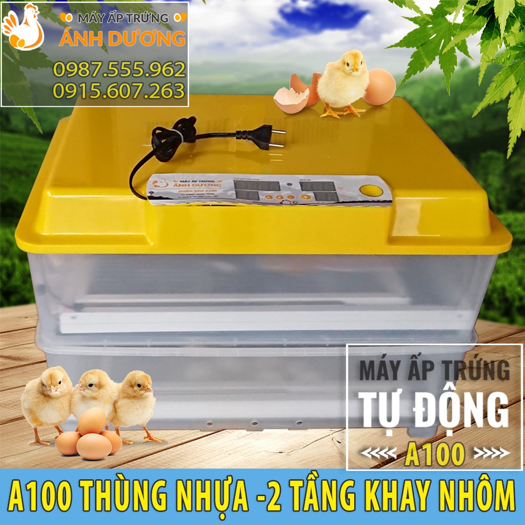 [ Hàng Chính Hãng ] - Máy ấp trứng mini Ánh Dương A100, 2 tầng khay đảo nhôm, ấp tự động 100 trứng