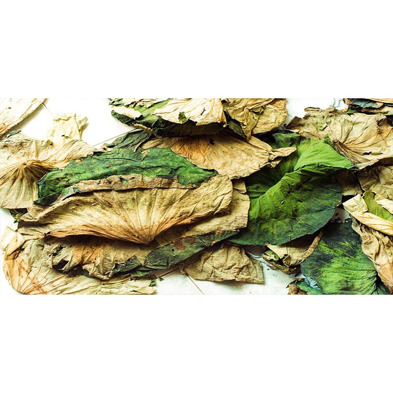 Trà Lá Sen Tâm Minh Giảm Cân Đẹp Da Hộp 40g 20 Túi Lọc