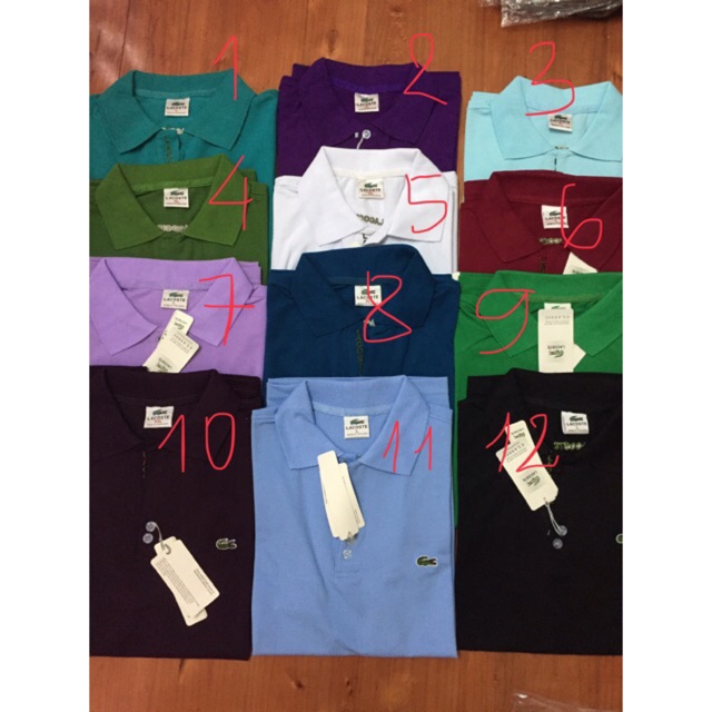 Áo thun Polo Nam Trung Niên Hàng Quảng Châu sợi bông Cao Cấp có túi tặng Bố mẫu mới 2023