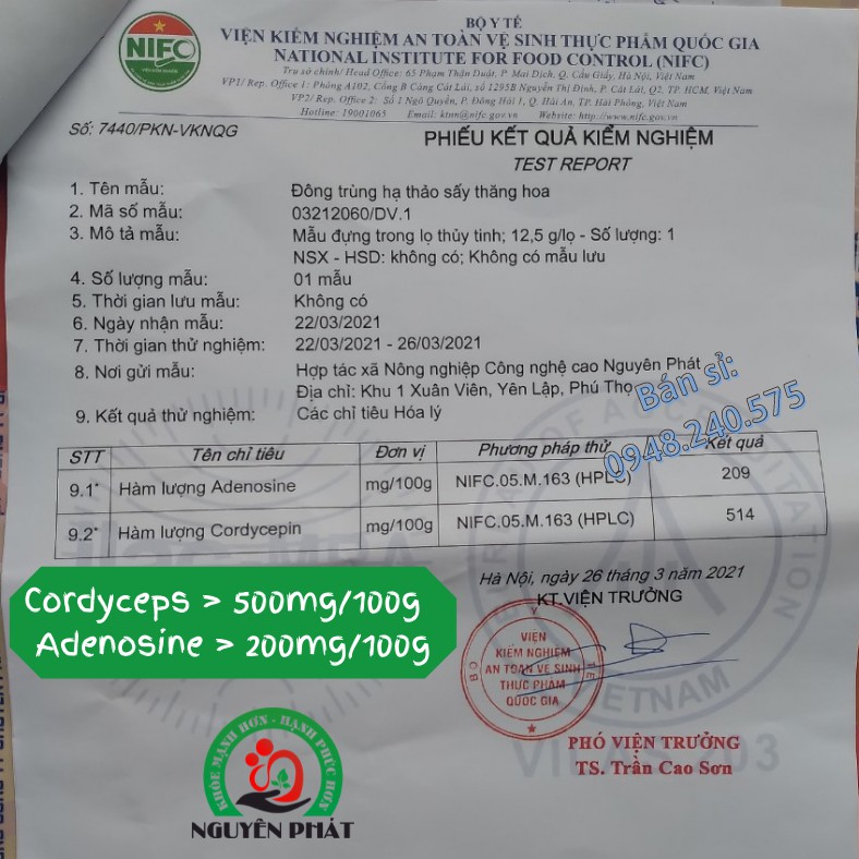 ĐÔNG TRÙNG HẠ THẢO NGUYÊN PHÁT hàm lượng adenosine, cordycepin ~ hàng tự nhiên Na Húc Tây Tạng