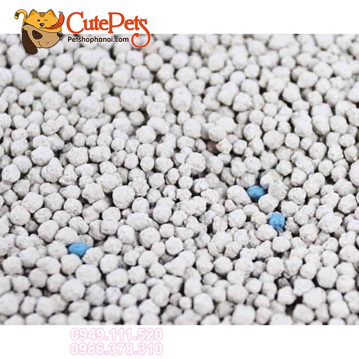 Cát vệ sinh cho mèo, Cát GENKI 5L nhật bản khử mùi tốt - Phụ kiện thú cưng Hà Nội