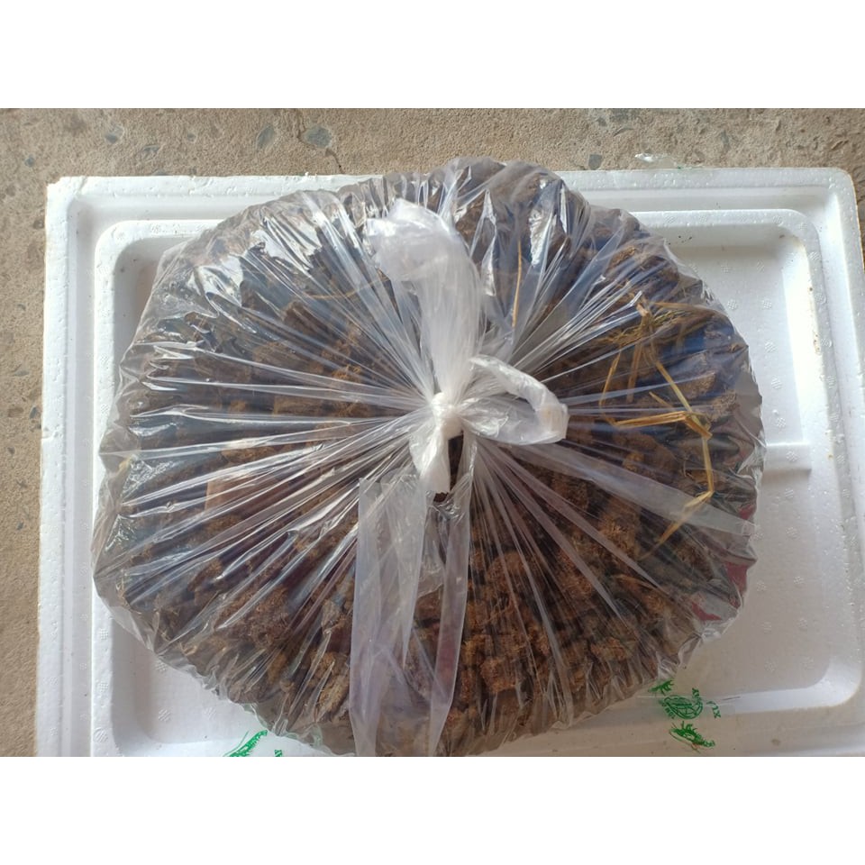 2 kg phân bò nguyên chất Bến Tre khối lượng nhỏ, rất nhiều thích hợp bón cây văn phòng, chung cư, ko mùi
