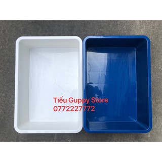 Khay Nhựa Nuôi Cá hình chữ nhật 16 lít 35x50x13cm