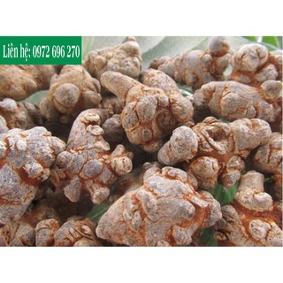Tam thất bắc củ 1kg