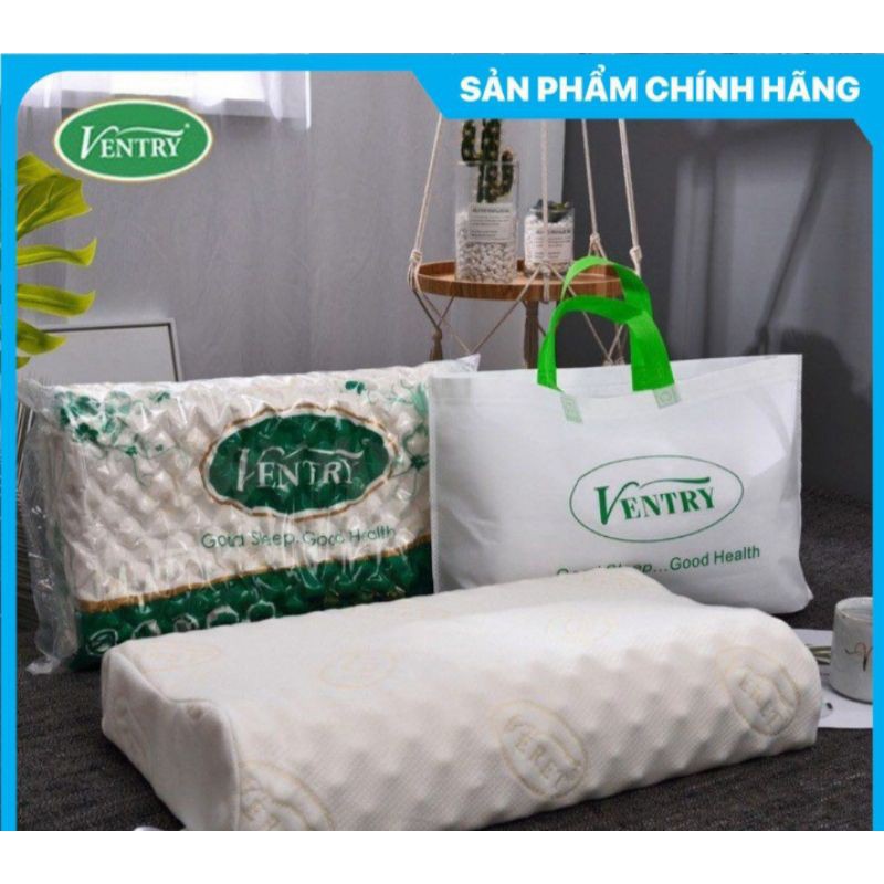 Gối cao su non Ventry Thái Lan hàng chuẩn loại 1