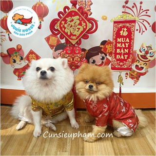 Áo dài đỏ quần áo tết cho chó mèo