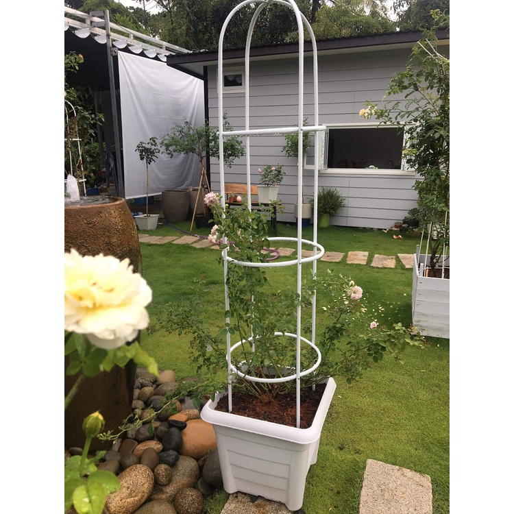 Khung đỡ, giá đỡ hoa hồng leo, cây hoa leo, trang trí màu trắng cao 1,8m, ĐK 40cm, chiết liệu thép ống 13mm