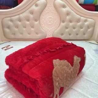 Chăn lạc đà nhập cao cấp