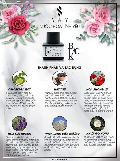 Nước hoa vùng kín SAY PERFUME hải âu việt