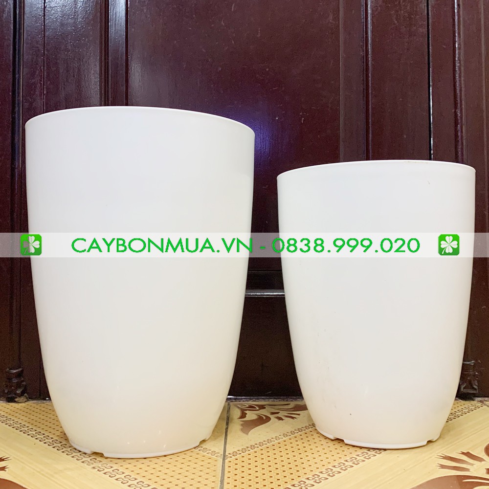 [HOT] Chậu nhựa trắng cao cấp, Chậu nhựa bom giả sứ cao cấp (có 2 size)