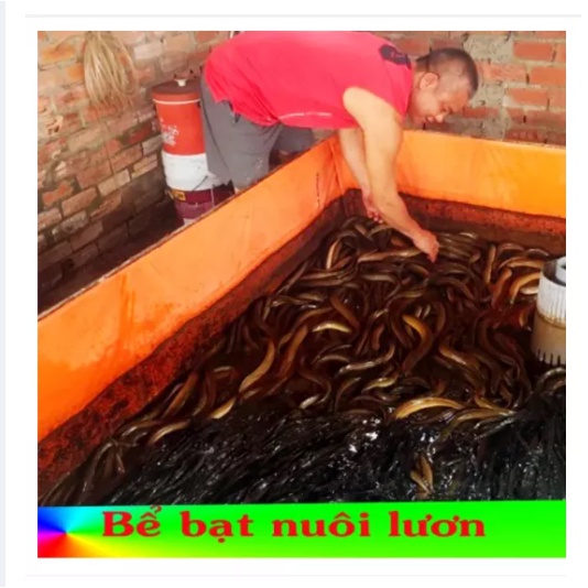 Bể Bạt Nuôi Cá, Tôm, Lươn, Ếch ....vv, Bể Bạt Việt Hàn Tuổi Thọ Trên 3 Năm, Chất Liệu Tốt Dễ Dàng Sử Dụng