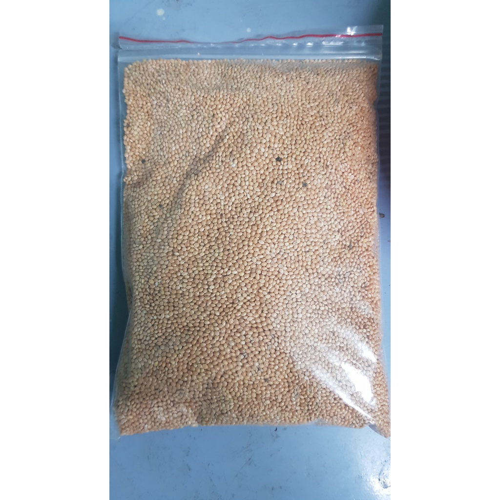 Hạt kê vàng đóng gói gói 500g - 1kg