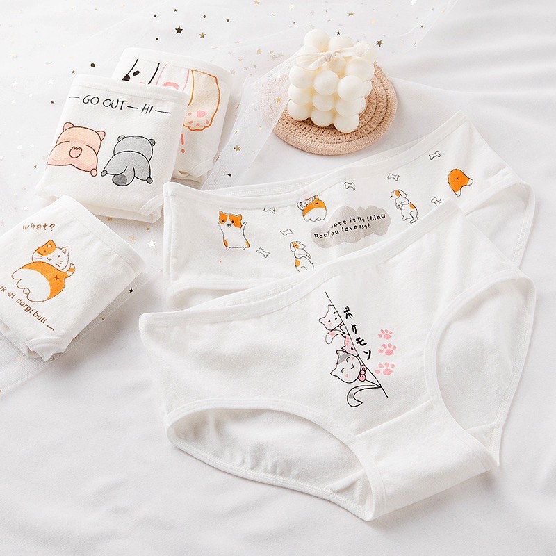 [Che Tên] [Có Size XL] SET 5 Quần Lót Bigsize Chất Cotton Mềm Cạp Thấp Cute Dễ Thương Cho Nữ TOPBRA | BigBuy360 - bigbuy360.vn