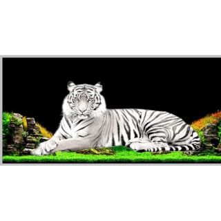 Tranh bể cá 3d kt 120x60cm