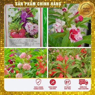 Hạt giống hoa Móng Tay kép