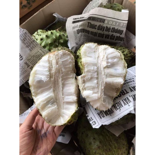 Cây mãng cầu xiêm