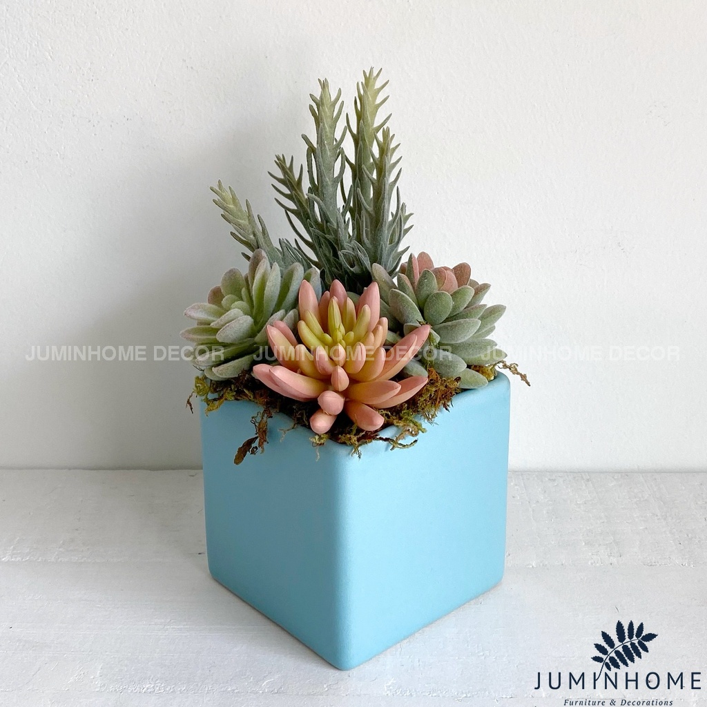 Cây giả Decor - Chậu sen đá vuông Decor trang trí để bàn