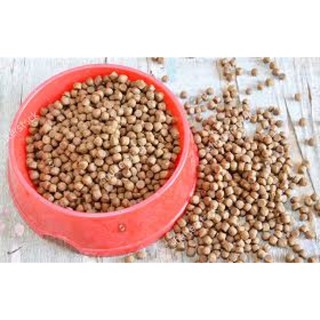 Đồ ăn chó mèo hatn