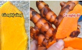 Bột Nghệ Nếp Handmade (Uống được, Giàu Cucurmin) - Mờ Thâm, Da Khoẻ