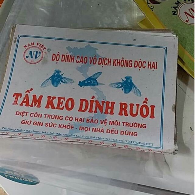 [RẺ VÔ ĐỊCH] SỈ 10 TẤM KEO DÍNH RUỒI SIÊU CHẮC