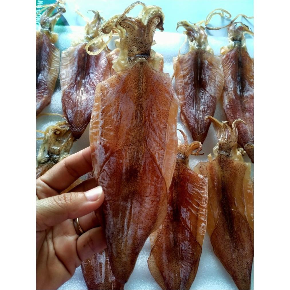 500g Khô mực Phú Quốc - Loại 32-34 con/kg. Bịch 500g từ 16-17 con Mực Phú Quốc Phơi ghe