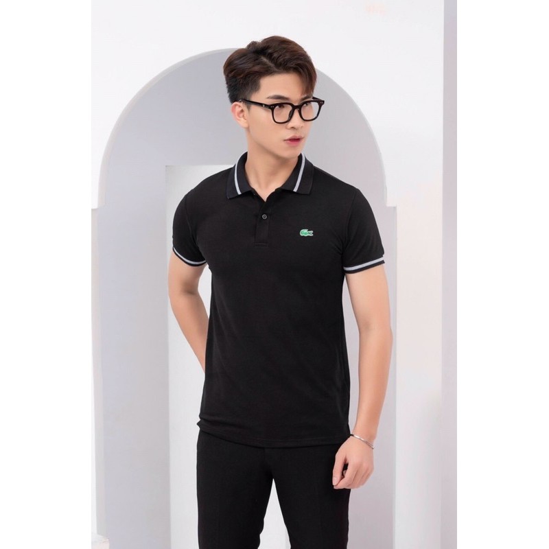 Áo phông nam PO-LO cá sấu 4 màu | BigBuy360 - bigbuy360.vn