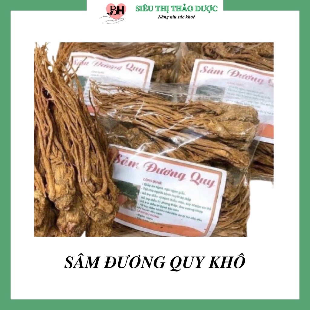 Sâm Đương Quy Khô Hàng Nguyên Củ To Đẹp  Hỗ Trợ Phong Thấp, Thiếu Máu, Huyết Áp Thấp Và Bồi Bổ Cơ Thể | BigBuy360 - bigbuy360.vn