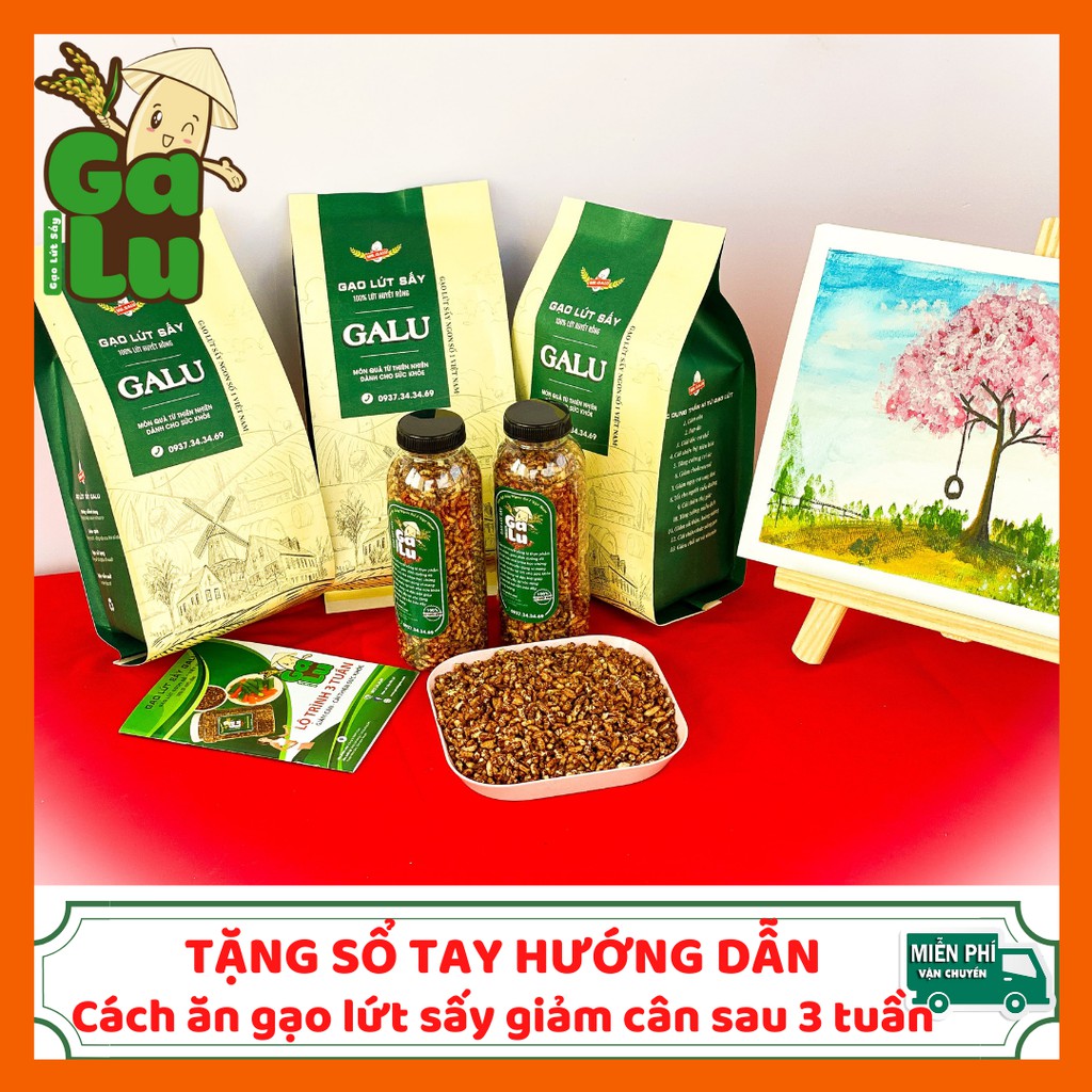 2 Hũ(Túi) Gạo Lứt Sấy Rong Biển Galu 500gram + 1 Chai 120gram + Tặng sổ tay hướng dẫn ăn gạo lứt giảm cân sau 3 tuần. | BigBuy360 - bigbuy360.vn
