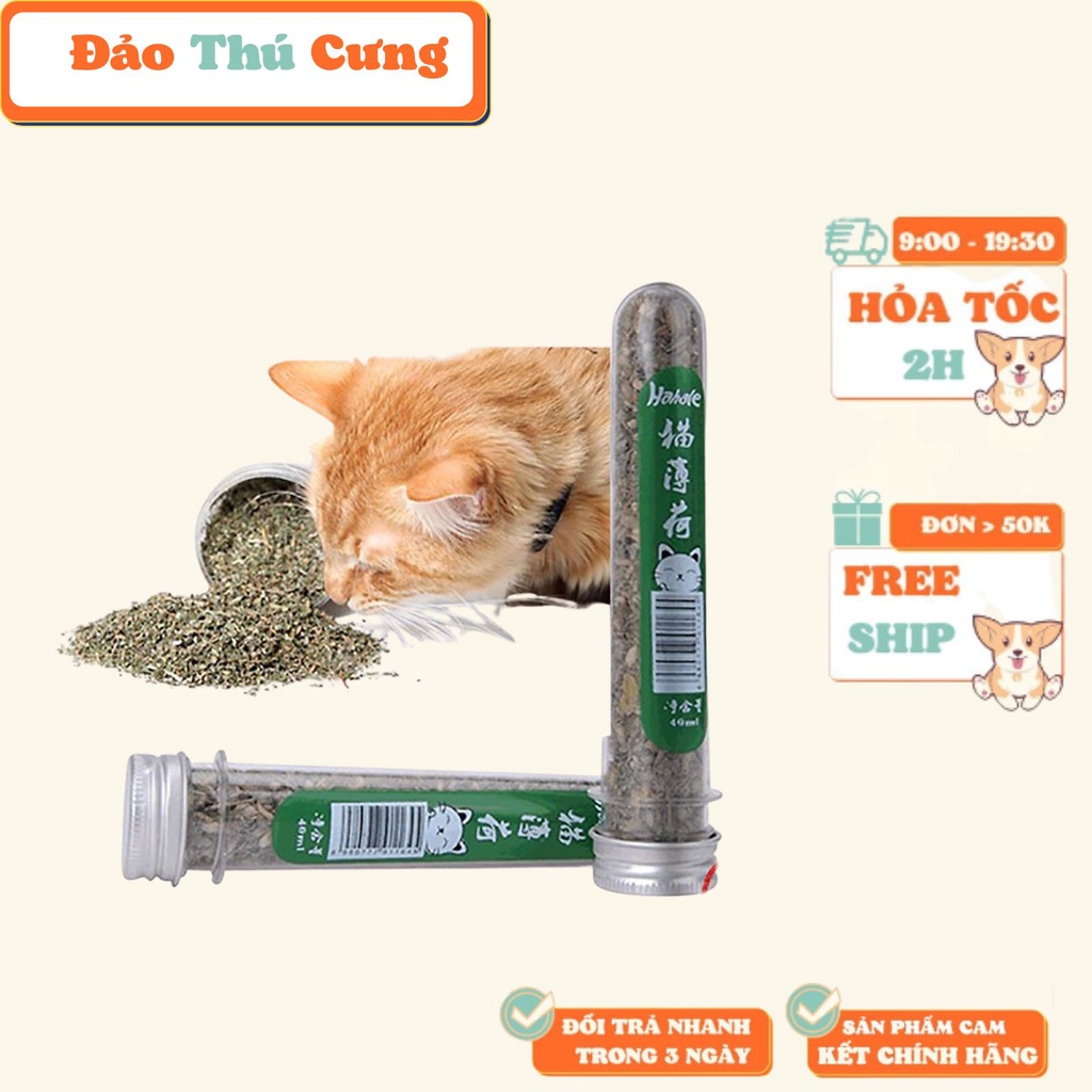 Cỏ mèo dán tường bạc hà Catnip đồ chơi cho mèo giúp mèo xả stress Đảo Thú Cưng